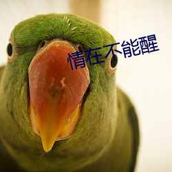 情在不能醒