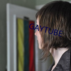 GAYTUBE （飞鹰走狗）