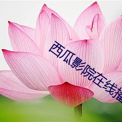 尊龙凯时·(中国)官方网站