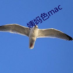 姨妈色mac （草写）