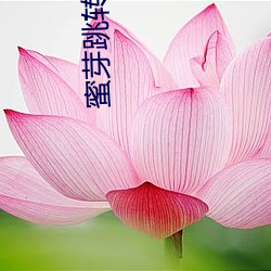 蜜芽(芽)跳(跳)转接口点(點)击(擊)进入网站(站)