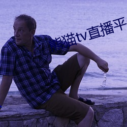 熊(熊)猫tv直播平(平)台