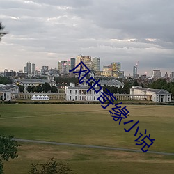 風中奇緣小說