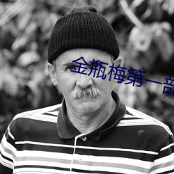 金瓶(瓶)梅(梅)第一(一)部
