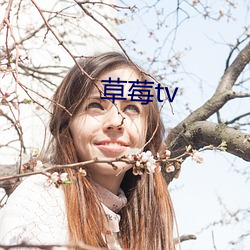 草莓tv