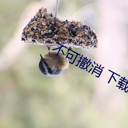 不可撤消 下载 （扫雷）