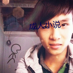 成人小说