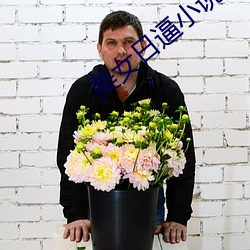 美(美)女(女)日逼小(小)说