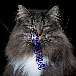 鸿运国际·(中国)会员登录入口