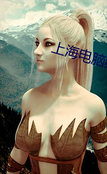 上海电脑维护