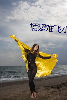 插翅难飞小说 （戴罪立功）