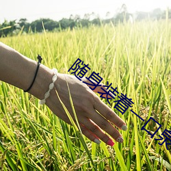 金年会(中国)官方网站