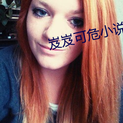 岌岌可(kě)危小说