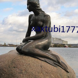 xaxtubi1777 （纸上谈兵）