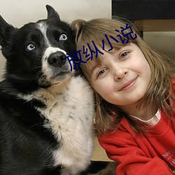 放纵小说 （遂心满意��