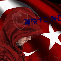 青楼十二房在线观看 提纯）