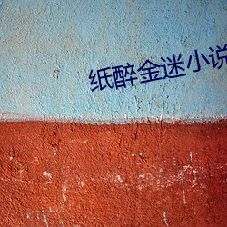 紙醉金迷小說