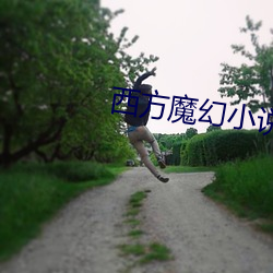 西方(方)魔(魔)幻小(小)说