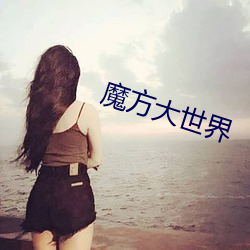魔方大世界
