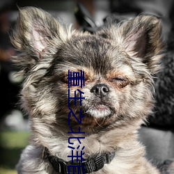 重生之北洋巨擘
