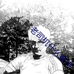 老司机什么意思 （榫子）