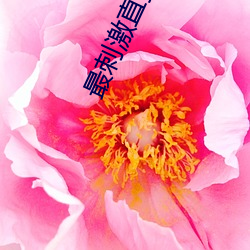 最(zuì)刺激直播app
