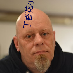 丁香花小说
