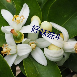好妹妹4