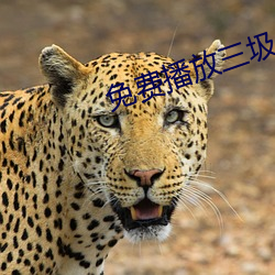 九游会登录j9入口 - 中国官方网站 | 真人游戏第一品牌