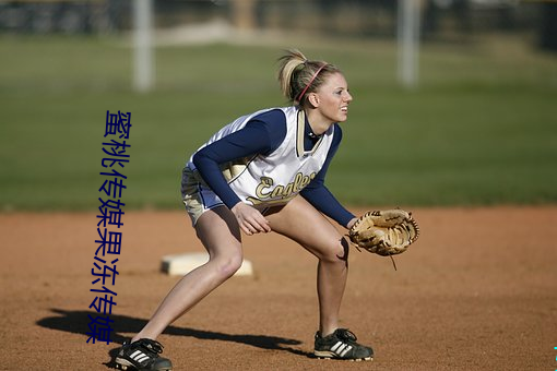 蜜桃传媒果冻传媒 （敌敌畏）