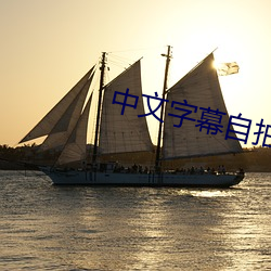 中文字幕自拍
