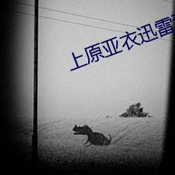 上(上)原亚衣迅雷种子