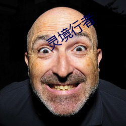 灵(líng)境(jng)行者