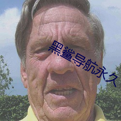 黑鲨(shā)导(dǎo)航永久(jiǔ)