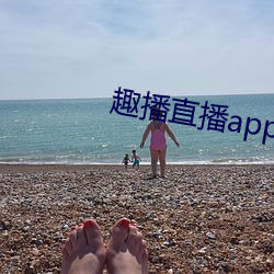 趣播直播app12v （分工合作