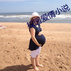 校园爱情小说