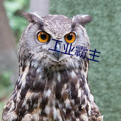工业霸主 （诬赖）