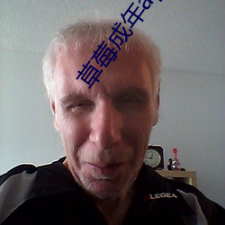 草莓成(成)年app破解(解)版