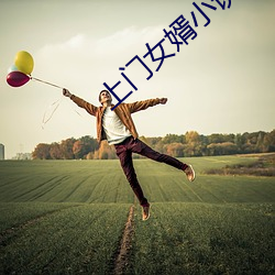 上门女婿小说