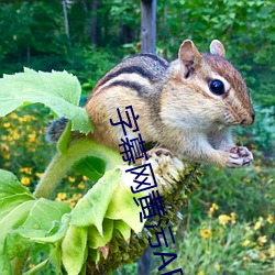 AG真人平台(中国)官方网站