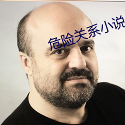 危险关系小说