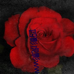九游会登录j9入口 - 中国官方网站 | 真人游戏第一品牌