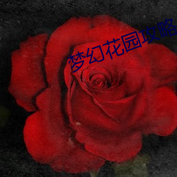 梦幻花(花)园攻略(略)