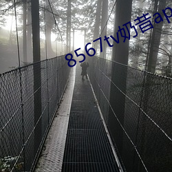 8567tv奶昔app （判词）