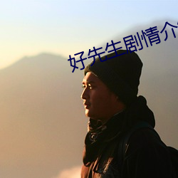 好先(先)生剧情介(介)绍