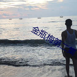 金瓶梅第二集 （出来）