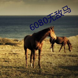 6080无敌马