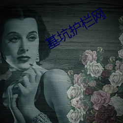 基(jī)坑(kēng)护栏网