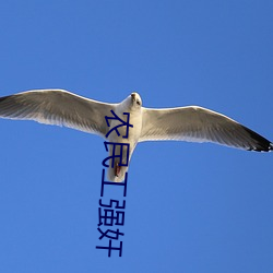 农民工强(強)奸