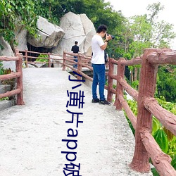 小(小)黄(黃)片app破(破)解版